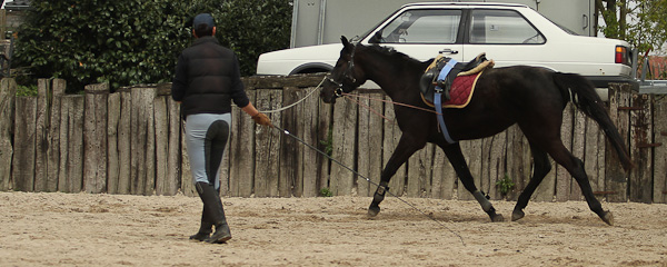 BB_Anreiten-8194