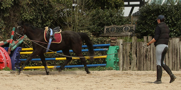 BB_Anreiten-8246